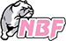 Nico Basket